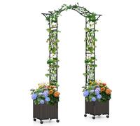 Homasis Arche de Jardin avec système d'arrosage Automatique, 2 jardinières et 8 Roues, Treillis de Jardin en métal recouvert de PE antirouille, Support pour Plantes grimpantes (Noir)