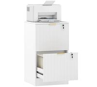 HOMCOM Armoire à dossiers à 2 tiroirs, armoire à dossiers verticale cannelée avec serrure et rails suspendus réglables pour dossiers A4 et format lettre, support d'imprimante avec rangement, blanc