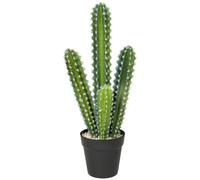 HOMCOM Cactus Artificiel en Pot 53cm | Cactus colonne, plante factice réaliste, grande, décoration bureau maison, cadeau de pendaison de crémaillère