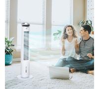 HOMCOM Climatiseur rafraîchisseur d'air 4 en 1-oscillant-timer, 3 modes, 3 vitesses - télécommande 2 blocs réfrigérants