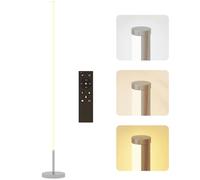 HOMCOM Lampadaire LED à Intensité Variable, Télécommande, Sur Pied, Argent