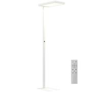 HOMCOM Lampadaire sur pied salon, 1560 LM 40W, lampadaire LED dimmable 196 cm à spectre complet pour le soin des yeux, veilleuse et télécommande, 3000K-6500K température de couleur réglable