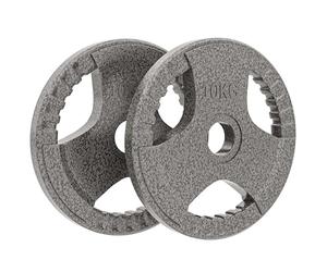 HOMCOM Lot de 2 disques de poids en fonte 2" 2 x 10kg