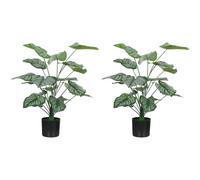 HOMCOM Lot de 2 Plantes artificielles intérieures 65 cm Pommier Vert | Arbre Artificiel avec Flocage, Pot en Plastique, Fausse Plante Déco, pour Maison Bureau Salon Chambre