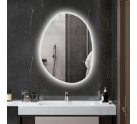 HOMCOM Miroir Salle de Bain avec éclairage LED 80 x 60 cm, Miroir Lumineux Mural asymétrique, Anti-buée, 3 Couleurs lumière, dimmable, mémoire, Interrupteur Tactile, Verre trempé, IP44, argenté