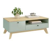 HOMCOM Table Basse 100 x 50 x 40 cm Vert clair et chêne