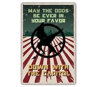 HomDeo Décoration murale en métal 20,3 x 30,5 cm - Hunger Games May The Odds Be Ever in Your Favor Panneau en métal personnalisé