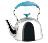 HOME Bouilloire INOX Lt1,5 Pots Assortis