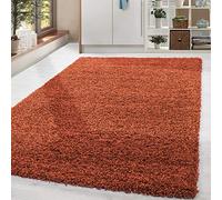 Home by Home Tapis doux et épais style shaggy moderne Uni Plusieurs formes et tailles disponibles, 100 % polypropylène, Terre, 300x400 cm