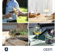 Home Cesti 040969 Lot De 6 Verres À Vin Avec Chiffon De Polissage - Verres À Vin Lavables Au Lave-Vaisselle (280 Ml) - Résistants Aux Chocs Et Adaptés À Un Usage Quotidien - Verres À Vin