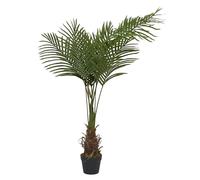 HOME DECO FACTORY - HD0452, Plante Artificielle Palmier 120 cm - Décoration Intérieure, Entretien Facile, Design Réaliste, Conçu pour Salon ou Bureau - Vert