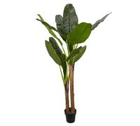 HOME DECO FACTORY, HD4189, Bananier Artificiel XXL, Plante Décorative Réaliste, Entretien Facile, Matériaux de Qualité, Idéal pour Salon ou Chambre, Dimensions 160x45x45 cm, Vert Marron
