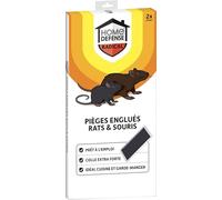 HOME DEFENSE HDGLUR - Pièges Englués Contre Rats et Souris - Produit prêt à l'emploi - Très efficace, colle extra forte - Pour cuisine et garde-manger - S'utilise sans appât - Mise en place rapide