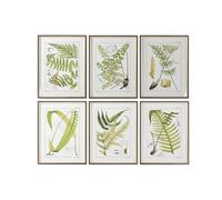 Home ESPRIT Tableau Moderne fougère 50 x 2,5 x 65 cm (6 unités)