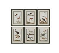 Home ESPRIT Tableau Oiseaux Cottage 40 x 2,5 x 54 cm (6 unités)