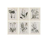 Home ESPRIT Tableau Shabby Chic Plantes botaniques 40 x 1,5 x 50 cm (6 unités)