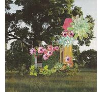 Home Everywhere [Edition] [Import Allemand]