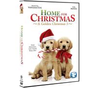Home for A Golden Christmas 3