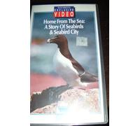 Home From The Sea: A Story Of Seabirds / Seabird City [VHS] [Import anglais]