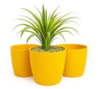Home Garden Ornaments Petit Pot de Fleur Interieur - Pots de Fleurs Exterieur - Rayés et Petit Pot Plante Intérieur Lot de 3 - Décoratif Pot de Fleur Exterieur (Diamètre: 15.5cm, Couleur: Moutarde)