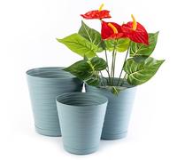 Home Garden Ornaments Tedi Vert Pot de Fleur Interieur Lot de 3 Tailles 13/15/17 cm - Plastique Pot de Fleurs Exterieur - Pots de Fleurs avec Soucoupe Intégrée avec Trous de Drainage (Vert)