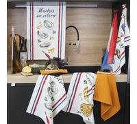 HOME MAISON Sud Etoffe - Set de 3 torchons Coquillages Coton Ecru 50x70 cm