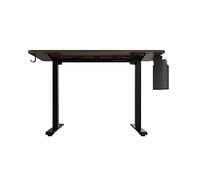 Home Office Computer Desk Height Adjustable Electric Standing Desk 48x24 inch Stand up Table with Headset Hook and Storage Bag Study Desk with Storage