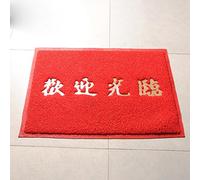 Home Out of the Flat PVC Mat rub pads front door mat home mats plastic door mats door mats rub pads mats doormat home mats floor mats doormat