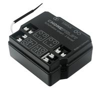 Home Pilot - Récepteur d'éclairage connecté 2 canaux pour la commande d'éclairage. Lumière connectée | Contrôle via application | Commande vocale - 11941002