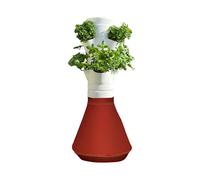 HOME POTAGER - Colonne aromatique, kit Potager d'intérieur Autonome, Culture hydropononique (Bordeaux Recto-Verso)