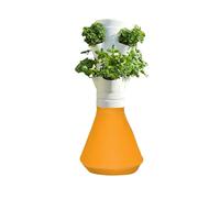 HOME POTAGER - Colonne aromatique, kit Potager d'intérieur Autonome, Culture hydropononique (Moutarde Recto-Verso)