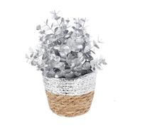 Home & Styling Collection Koopman International B.V - Plante Artificielle Panier JONC 20CM Argent MÉTAL