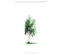 HOME WOHNIDEEN Rideau Coulissant Arbre Aspect Soie Opaque, 245 x 60 cm, Couleur : Vert, Taille:245 x 60 cm, quantité : 1 x