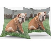 HOME ZEN HOUSEHOLD LINEN Paire de housse de coussin de décoration art puppy mesure 42 x 42 cm avec fermeture éclair en impression numérique avec ami 4 pattes chien (bouledogue anglais)