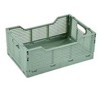 Homea - Cagette pliable FOLDY - Taille M - Sauge - Foldy Douceur d'intérieur G