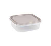 Homéa Essentiel, Boite de Conservation Plastique 1,3L 19,5 x 19,5 x H6 cm Taupe