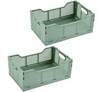 Homea - Lot de 2 cagettes pliables FOLDY - Taille M - Sauge - Foldy Douceur d'intérieur G