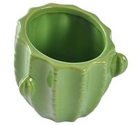 Homéa, Pot Cactus Céramique 10 x H10 cm Vert Clair Jardin d'hiver