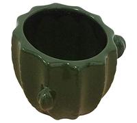 Homéa, Pot Cactus Céramique 10 x H10 cm Vert Foncé Jardin d'hiver