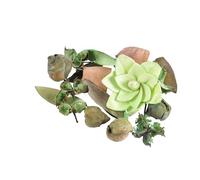 Homéa, Pot-Pourri 110G Parfum Pomme