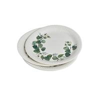 Homéa Réception, Set de 10 Assiettes en Carton D23 cm Eucalyptus
