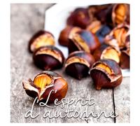 Homéa, Set 20 Serviettes Papier Marrons 3 Plis 33 x 33 cm