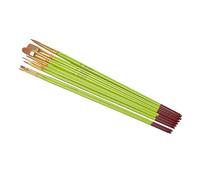 Lot de 8 Pinceaux "Apprentissage Acrylique" 30cm Vert