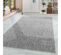 HomebyHome Grand Tapis Salon Moderne Gris Clair 240x340 cm - Chambre Poil Court Salle de Séjour Unicolore Doux et Moelleux - Cuisine Enfant Moquette à Poils Ras