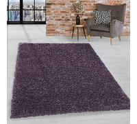 HomebyHome Grand Tapis Salon Moderne Tapis Chambre Adulte Tapis 300x400 cm Violet - Tapis Shaggy Salle de Séjour Tapis Poil Long Concevoir Unicolore Tapis Doux Moelleux - Tapis Cuisine Moquette Salon