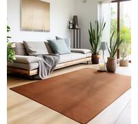 Homebyhome Grand Tapis Salon Moderne Tapis Chambre Tapis Marron 240 x 340 cm - Tapis Poil Court Salle de Séjour Couleur Unie Doux et Moelleux - Tapis Cuisine Lavable Antidérapant Moquette à Poils Ras