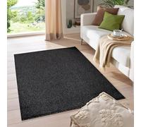 HomebyHome Tapis 120x170 cm Anthracite, Poils Courts réguliers, Style Moderne, Forme rectangulaire avec Dessous antidérapant pour Salon et Chambre
