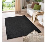 HomebyHome Tapis Salon Moderne Anthracite 300 x 400 (280 x 370 cm) - Tapis Poil Court Salle de Séjour Couleur Unie Extra Doux et Moelleux - Unicolore Tapis Lavable pour Chambre, Salon et Cuisine