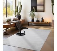 HomebyHome Tapis Lavable 200x290 cm Argent Moderne Uni Poils Courts Doux Antidérapant Lavable en Machine pour Salon Chambre Salle à Manger