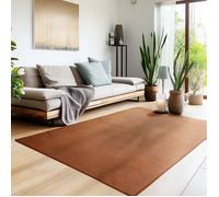 Homebyhome Tapis salon 200x290 cm Marron Uni moderne et moelleux à poil court, avec sous-couche antidérapante, lavable